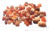 Picture of ANCIENT CARNELIAN STONE BEADS. 1600 B.C - ROMAN