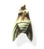 Picture of ANCIENT EGYPT. STONE FLY AMULET. 600 - 300 B.C