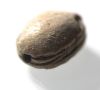 Picture of ANCIENT EGYPT. 2ND INTERMEDIATE PERIOD STNE SCARAB. 1780 - 1570 B.C