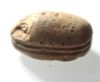 Picture of ANCIENT EGYPT. 2ND INTERMEDIATE PERIOD STNE SCARAB. 1780 - 1570 B.C