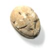 Picture of ANCIENT EGYPT. 2ND INTERMEDIATE PERIOD STNE SCARAB. 1780 - 1570 B.C