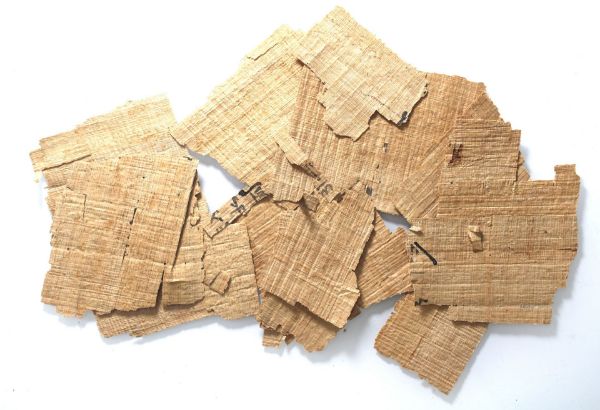 Picture of ANCIENT EGYPT. DEMOTIC PAPYRUS FRAGMENTS. 600 - 300 B.C