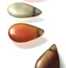 Picture of ANCIENT EGYPT. NEW KINGDOM STONE TEAR DROP SHAPED BEADS  . 1250 B.C