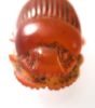 Picture of ANCIENT EGYPT. LARGE CARNELIAN BUTTON SCARAB. 1250 B.C. NEW KINGDOM