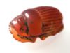 Picture of ANCIENT EGYPT. LARGE CARNELIAN BUTTON SCARAB. 1250 B.C. NEW KINGDOM