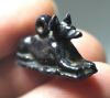 Picture of ANCIENT EGYPT. GLASS? ANUBIS AMULET. 600 - 300 B.C