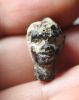 Picture of ANCIENT EGYPT. ROMAN GLASS AMULET. BLACK AFRICAN MALE. 100 A.D