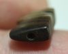 Picture of ANCIENT EGYPT.  AGATE EYE OF HORUS AMULET. 1250 B.C