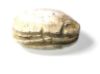 Picture of ANCIENT EGYPT. EGYPTIAN STONE SCARAB. 1700 - 1550 B.C  2ND INTERMEDIATE PERIOD