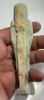 Picture of Ancient Egypt. Large Faience Ushabti With traces of inscribtion. 600 - 300 B.C