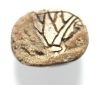 Picture of ANCIENT EGYPT.  STONE SCARAB WITH LOTUS FLOWER 1400 - 1200  B.C  NEW KINGDOM